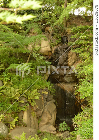Garden and waterfall 11028679