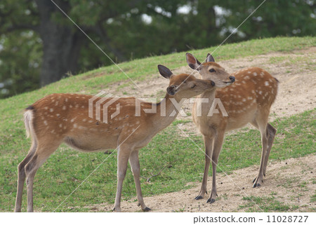 A good deal A good deal 11028727