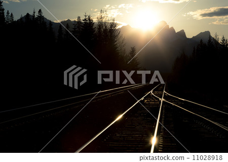 Railway tracks in the evening 11028918