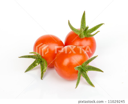 tomato vegetable . tomato vegetable . 11029245