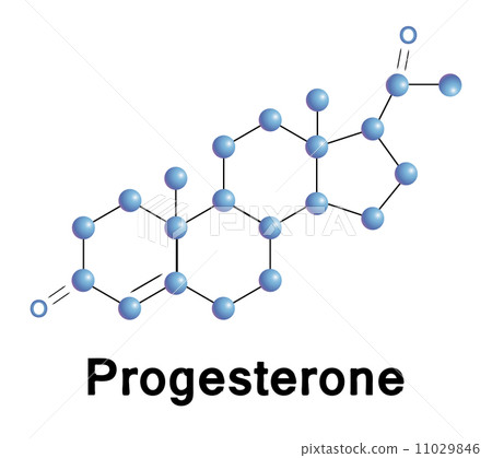 Progesterone Progesterone 11029846