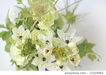 Flower plant Flower arrangement Flower arrangement Flower arrangement Flower arrangement Flower Spring cut flower bouquet fresh green leaf blue wheat carnation green fruit white flower white spring color fresh ornithogalam · arabicam kuroboshi ooh ama Orni 11029865