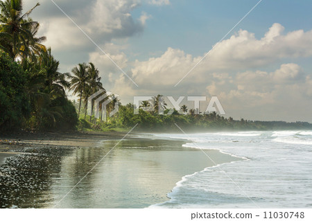 Tropical beach Tropical beach 11030748