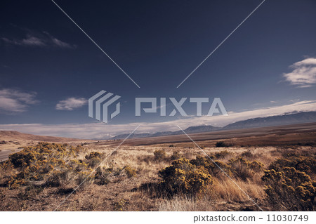 Prairie 11030749