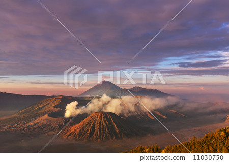 Bromo Bromo 11030750