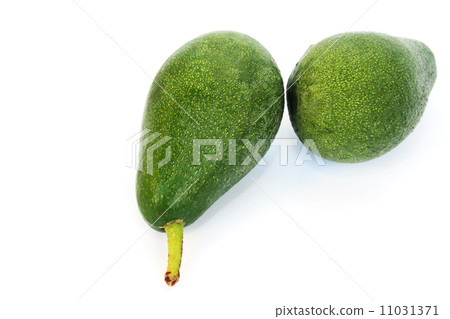 Avocado Avocado 11031371
