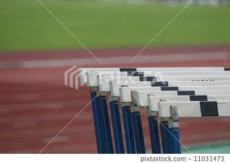 Hurdles 11031473