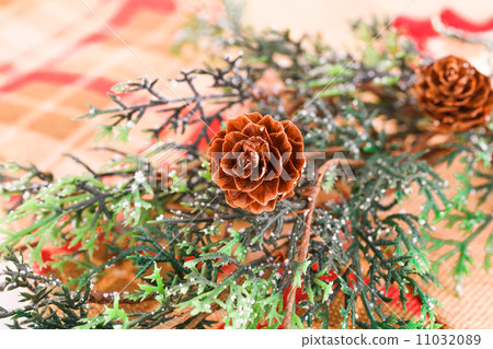 Christmas tree branch 11032089