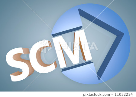 Supply Chain Management Supply Chain Management 11032254