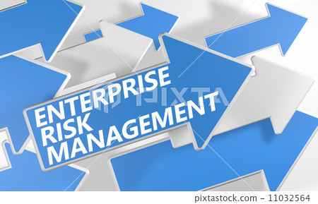 Enterprise Risk Management Enterprise Risk Management 11032564