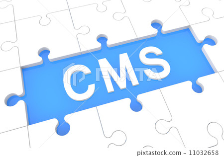 Content Management System 11032658