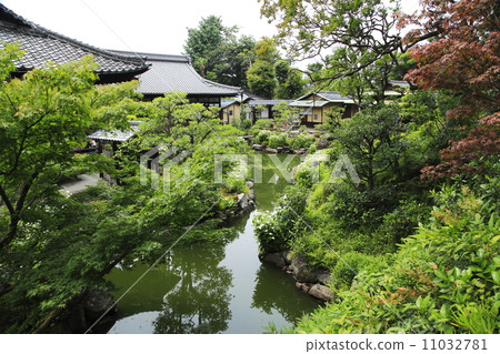 Both feet Garden 11032781