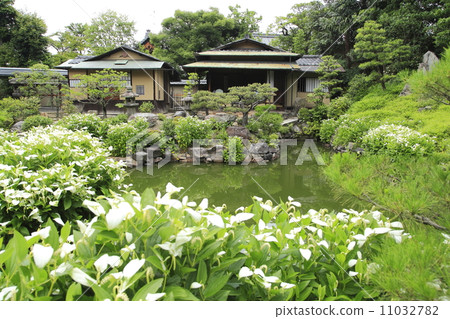 Half-summer students and tea room 11032782