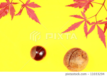 Autumn color image 11033294