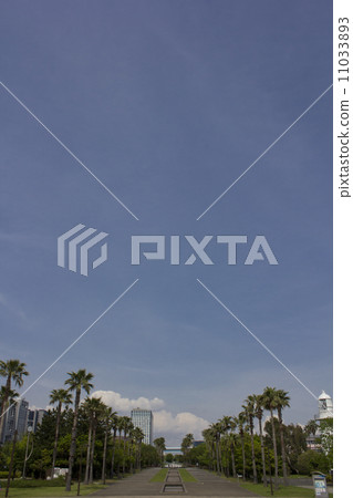 Blue sky and sea breeze park 11033893