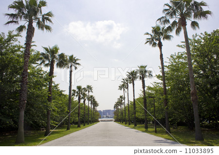 藍天和海風公園 藍天和海風公園 11033895