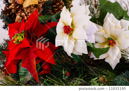 Holly berry flowers Holly berry flowers 11035195