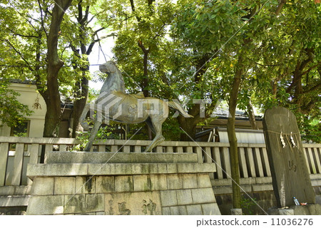 富岡八幡宮的神道馬 11036276