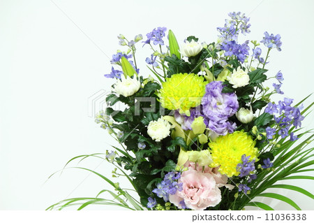 Supplied flowers 11036338