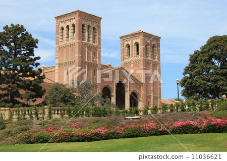 加州大學洛杉磯分校 11036621