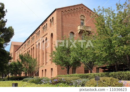 加州大學洛杉磯分校 加州大學洛杉磯分校 11036623