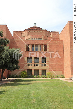 加州大學洛杉磯分校 加州大學洛杉磯分校 11036624