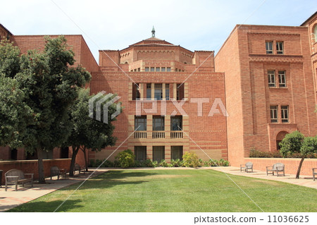 加州大學洛杉磯分校 加州大學洛杉磯分校 11036625