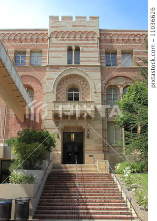 University of California Los Angeles 11036626