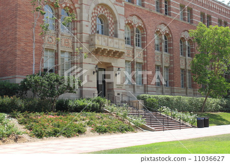 加州大學洛杉磯分校 加州大學洛杉磯分校 11036627