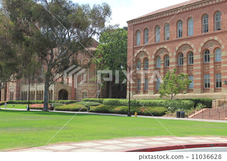加州大學洛杉磯分校 11036628