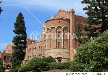 University of California Los Angeles 11036631