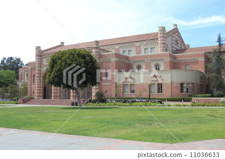 加州大學洛杉磯分校 加州大學洛杉磯分校 11036633