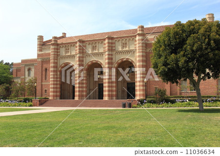 加州大學洛杉磯分校 加州大學洛杉磯分校 11036634