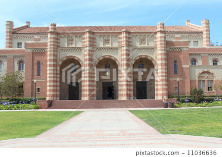 加州大學洛杉磯分校 加州大學洛杉磯分校 11036636