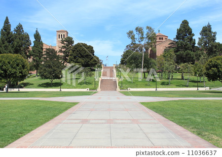 加州大學洛杉磯分校 加州大學洛杉磯分校 11036637
