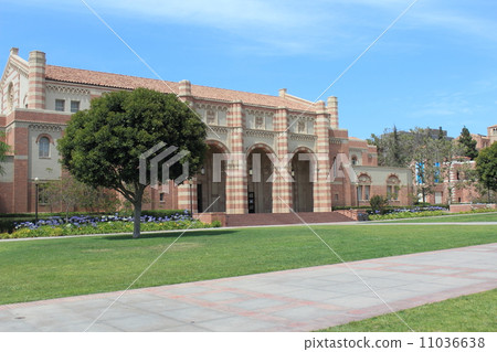 加州大學洛杉磯分校 加州大學洛杉磯分校 11036638