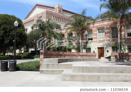 加州大學洛杉磯分校 11036639