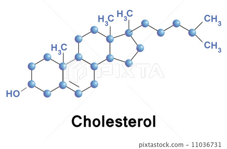 Cholesterol 11036731