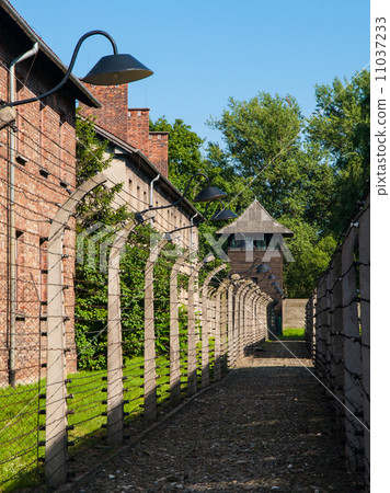 Fence around Auschwitz concentration camp 11037233