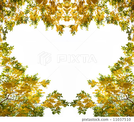 yellow flowers in heart shape yellow flowers in heart shape 11037510