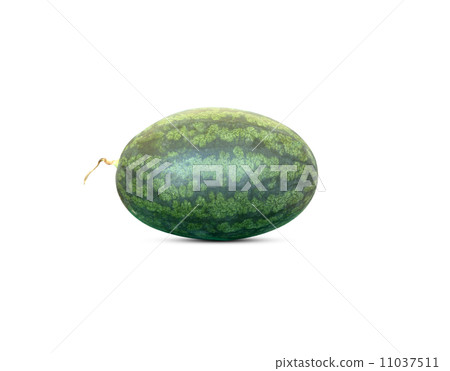 watermelon watermelon 11037511