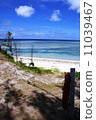 初夏在塔馬古島 11039467