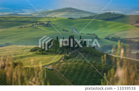 typical tuscan landscape typical tuscan landscape 11039538