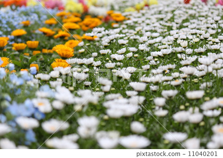 瑪格麗特在雨中濕透了 瑪格麗特在雨中濕透了 11040201