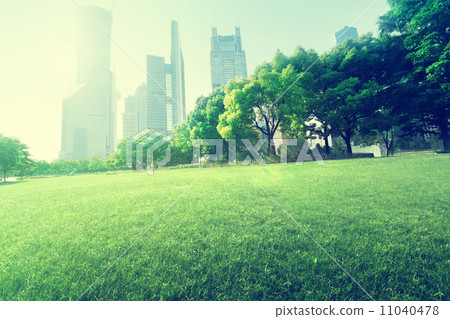 park in  lujiazui financial centre, Shanghai, China 11040478