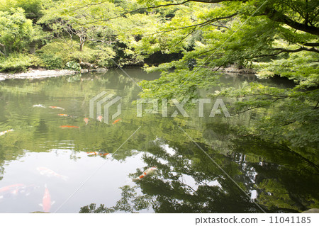 HachiYoshien HachiYoshien 11041185