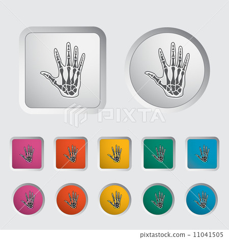 Anatomy hand 11041505