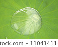 Lot of lotus 11043411