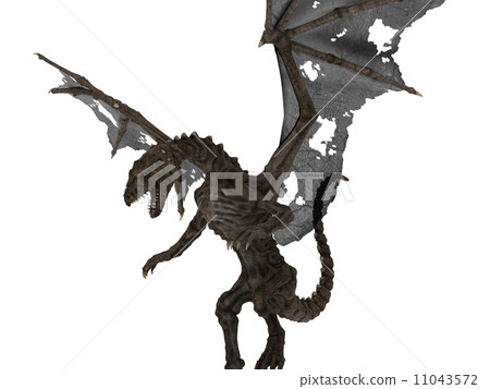  Dragon 11043572