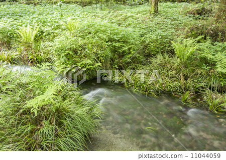 Flow of the stream of Ikeyama water source 11044059